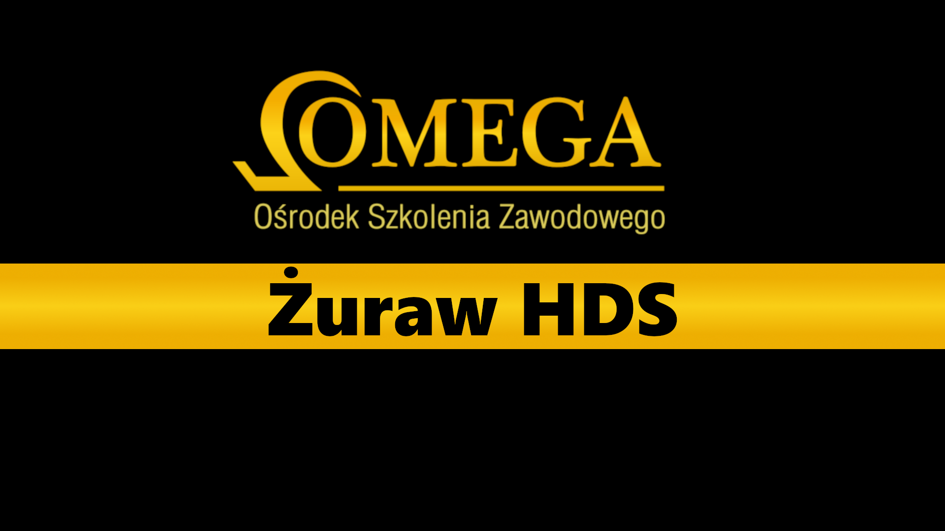 kurs żuraw Hds